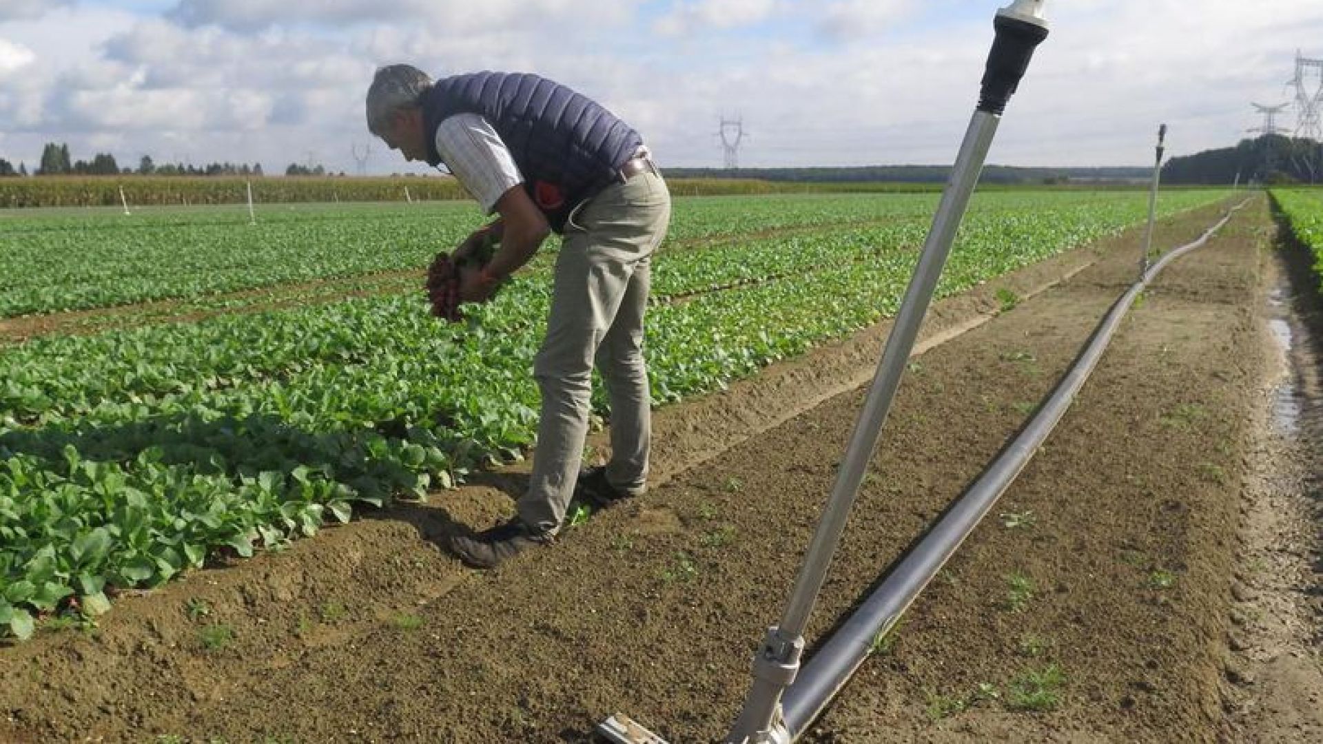 Système alimentaire et qualité de vie : Vers une gouvernance partagée pour le territoire La Rochelle - Aunis - Ré