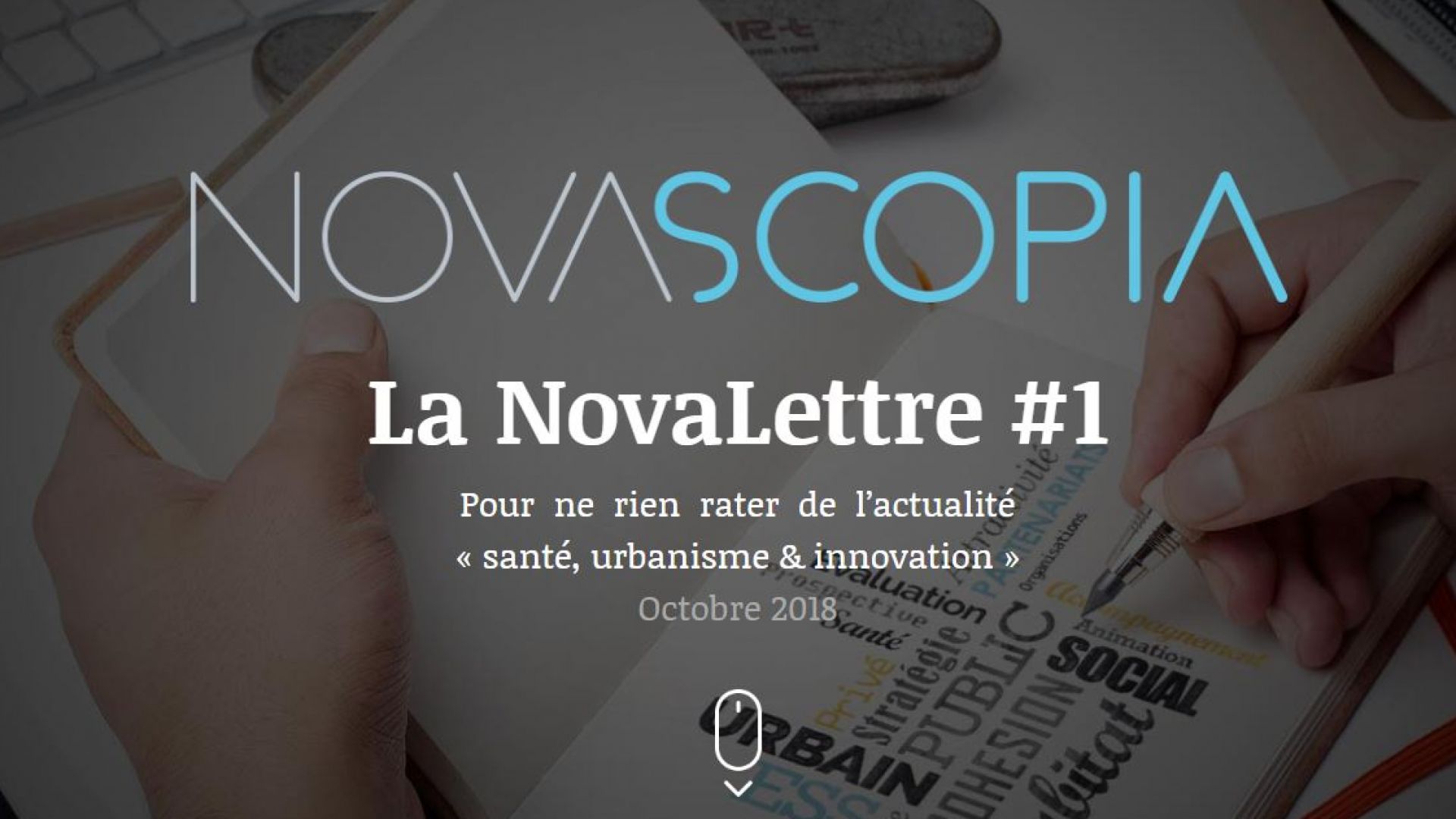 Première NovaLettre, la neswletter de NovaScopia dédiée à l'actualité 